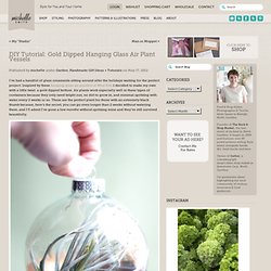 DIY Tutorial: Gold Dipped Hanging Glass Air Plant Vessels « Michelle Smith