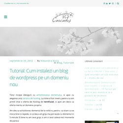 Tutorial: Cum instalezi un blog de wordpress pe un domeniu nou