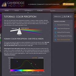 Tutorials – Color Perception