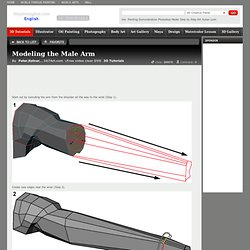 Modeling the Male Arm by Peter,Ratner, - 3D Tutorials- Modeling,the,Male,Arm,3D,Peter,Ratner,,Free Tutorials Network.shijieminghua.com