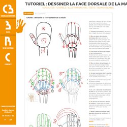 Tutoriel : dessiner la face dorsale de la main