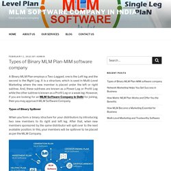 Types of Binary MLM Plan-MlM software company