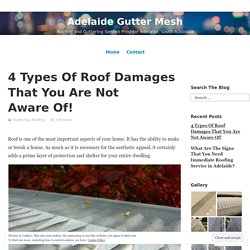 4 Types Of Roof Damages That You Are Not Aware Of! – Adelaide Gutter Mesh