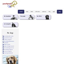 Types of Dogs Trained - paws4people