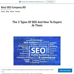 The 3 Types Of SEO And How To Expert At Them – Best SEO Company BD