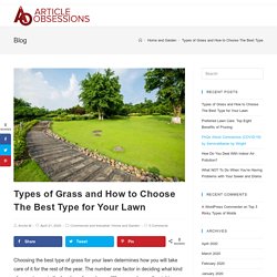 Types of Grass and How to Choose The Best Type for Your Lawn