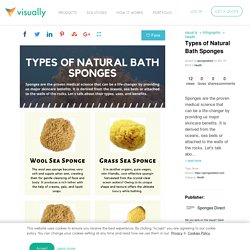 Types of Natural Bath Sponges