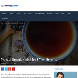 Types of Organic Herbal Tea & Their Benefits