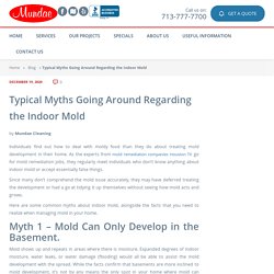 Typical Myths Going Around Regarding the Indoor Mold