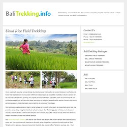 Ubud rice field trekking