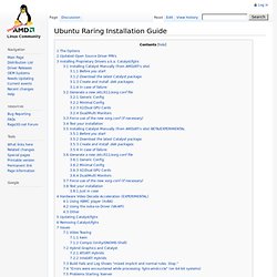 Ubuntu Raring Installation Guide