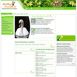 Hobby Uccelli - Il Portale Italiano di Ornitologia