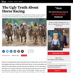 The Ugly Truth About Horse Racing - Andrew Cohen