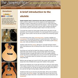 Ukulele reviews and commentaries