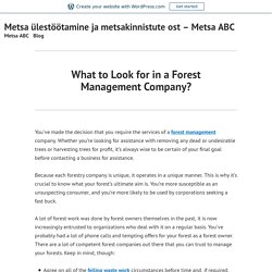 What to Look for in a Forest Management Company? – Metsa ülestöötamine ja metsakinnistute ost – Metsa ABC