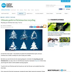 Ultimate Guide To Christmas Tree Recycling