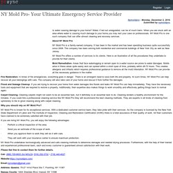 NY Mold Pro- Your Ultimate Emergency Service Provider