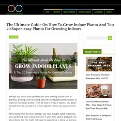 The Ultimate Guide On How To Grow Indoor Plants And Top 20 Super-easy Plants For Growing Indoors