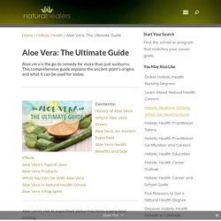 Aloe Vera: The Ultimate Guide