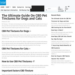 The Ultimate Guide On CBD Pet Tinctures for Dogs and Cats