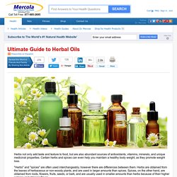 Ultimate Guide to Herbal Oils