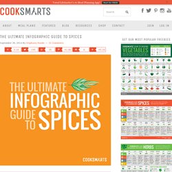 The Ultimate Infographic Guide to Spices - Cook Smarts