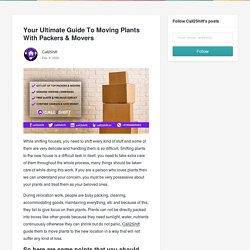 Your Ultimate Guide To Moving Plants With Packers & Movers - Call2Shift