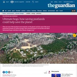 *****Ultimate bogs: how saving peatlands could help save the planet