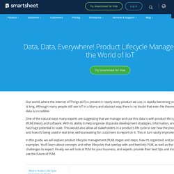 Ultimate Product Life Cycle Management Guide