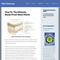 How To: The Ultimate, Bomb-Proof Sheet Mulch - Toby Hemenway