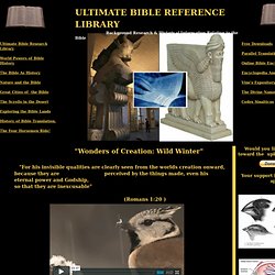 Ultimate Bible Reference Library