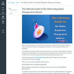 The Ultimate Guide to The Online Reputation Management Industry: Home: Blog