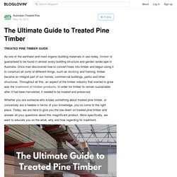 The Ultimate Guide to Treated Pine Timber