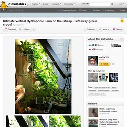 Ultimate Vertical Hydroponic Farm on the Cheap.. Gift away green crops!