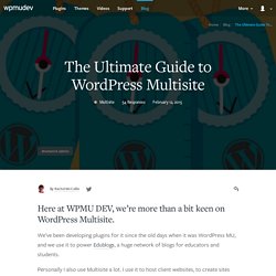 The Ultimate Guide to WordPress Multisite