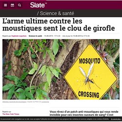 L’arme ultime contre les moustiques sent le clou de girofle