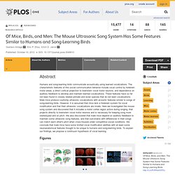 Of Mice, Birds, and Men: The Mouse Ultrasonic Song System Has Some Features Similar to Humans and Song-Learning Birds