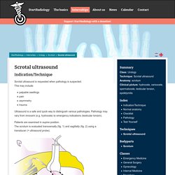 scrotal ultrasound - Startradiology