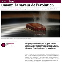 Umami: la saveur de l'évolution