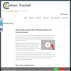 Unburnable carbon 2013: Wasted capital and stranded assets