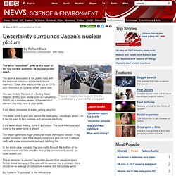 Uncertainty surrounds Japan's nuclear picture