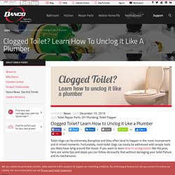 How to Unclog a Toilet Like a Plumber - DIY Plumbing Tips by Danco