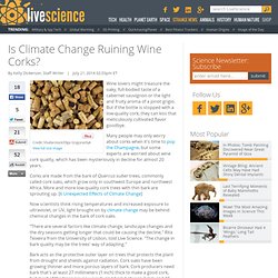 Uncorking a Mystery: Is Climate Change Ruining Wine Corks?