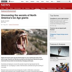 Uncovering the secrets of North America's Ice Age giants - FrontMotion Firefox