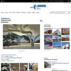 Leaf House / Undercurrent Architects