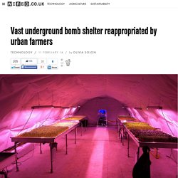 Vast underground bomb shelter reappropriated by urban farmers