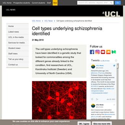 Cell types underlying schizophrenia identified