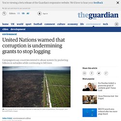 United Nations warned that corruption is undermining grants to s