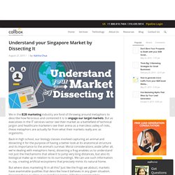 Understand your Singapore Market by Dissecting It