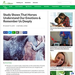 Study Shows That Horses Understand Our Emotions & Remember Us Deeply